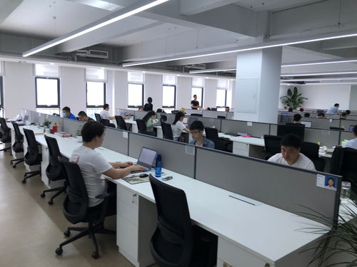 聚焦石家莊電子信息產(chǎn)業(yè) 神玥軟件堅(jiān)持?jǐn)?shù)字化發(fā)展，迎來(lái)發(fā)展黃金期